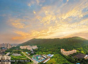 Yogi Hills | Ashar Maple